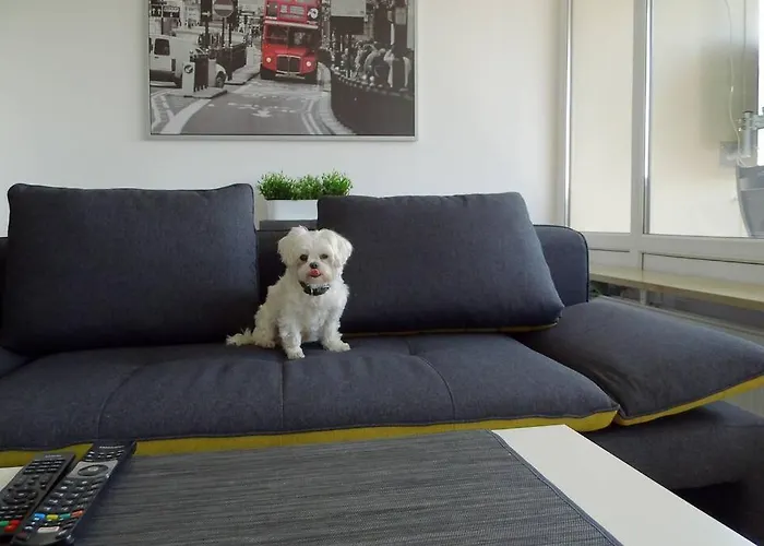 Appartement Modernes *